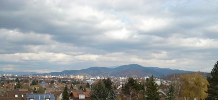Haus Freiburg Kauf